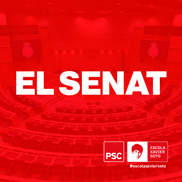 LES FUNCIONS DEL SENAT